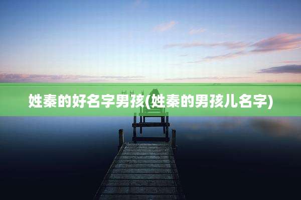 姓秦的好名字男孩(姓秦的男孩儿名字)
