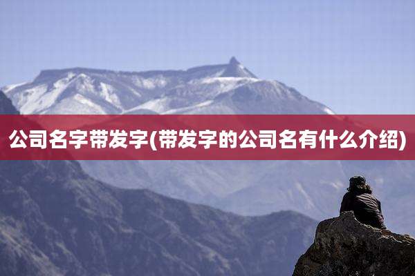 公司名字带发字(带发字的公司名有什么介绍)