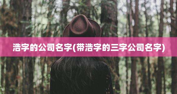 浩字的公司名字(带浩字的三字公司名字)