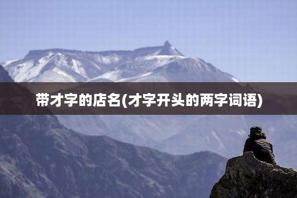 带才字的店名(才字开头的两字词语)
