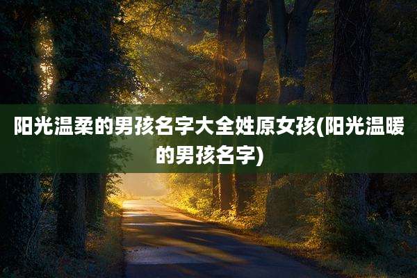 阳光温柔的男孩名字大全姓原女孩(阳光温暖的男孩名字)