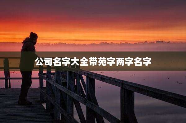 公司名字大全带苑字两字名字