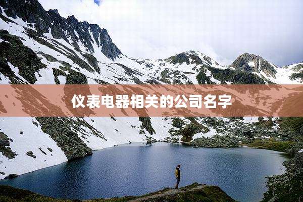 仪表电器相关的公司名字