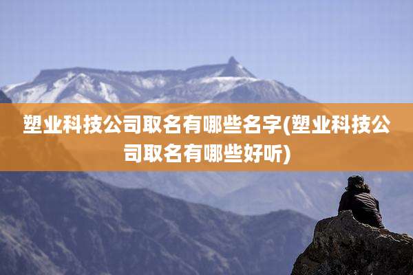 塑业科技公司取名有哪些名字(塑业科技公司取名有哪些好听)