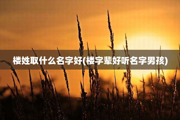 楼姓取什么名字好(楼字辈好听名字男孩)