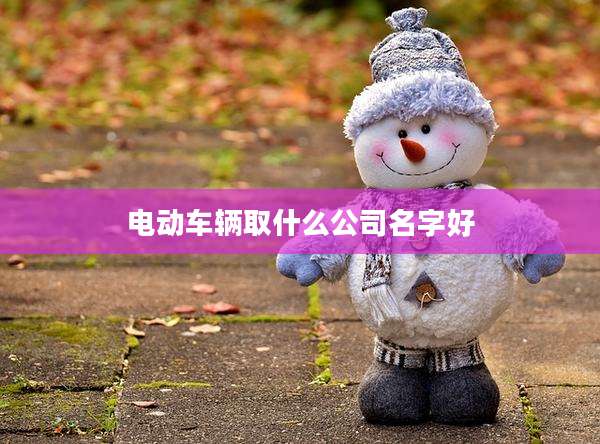 电动车辆取什么公司名字好