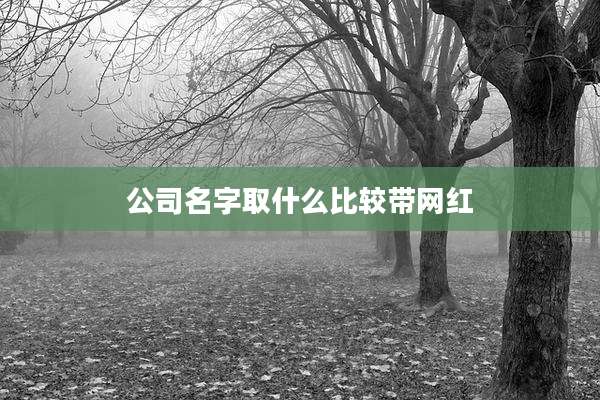 公司名字取什么比较带网红