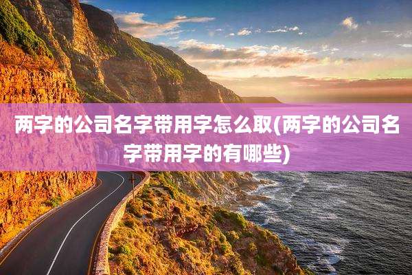 两字的公司名字带用字怎么取(两字的公司名字带用字的有哪些)