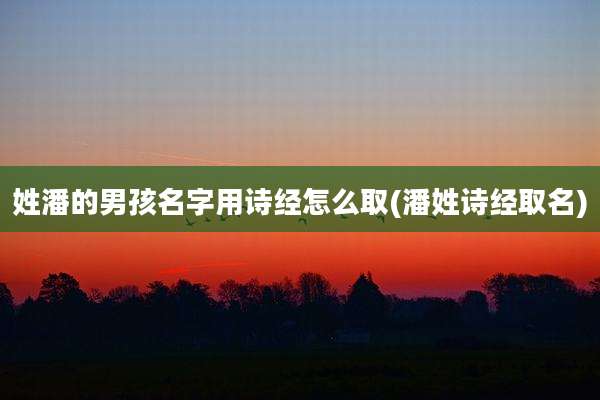 姓潘的男孩名字用诗经怎么取(潘姓诗经取名)