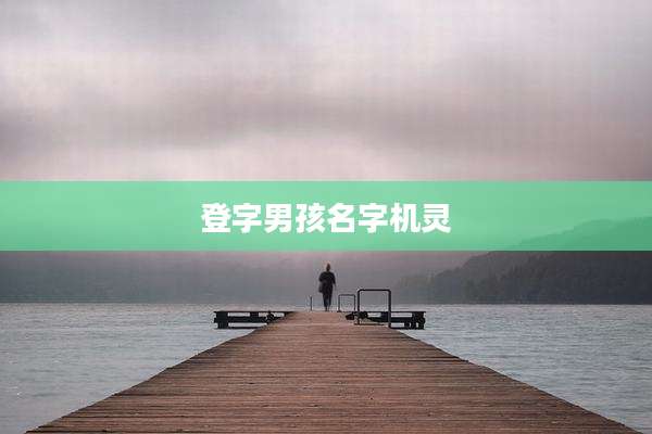 登字男孩名字机灵