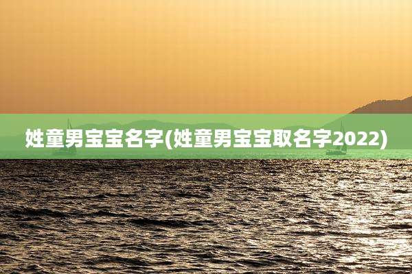 姓童男宝宝名字(姓童男宝宝取名字2022)
