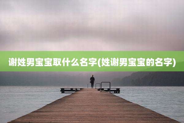谢姓男宝宝取什么名字(姓谢男宝宝的名字)