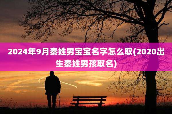 2024年9月秦姓男宝宝名字怎么取(2020出生秦姓男孩取名)