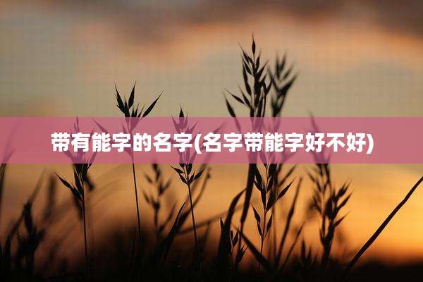 带有能字的名字(名字带能字好不好)