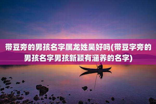 带豆旁的男孩名字属龙姓吴好吗(带豆字旁的男孩名字男孩新颖有涵养的名字)