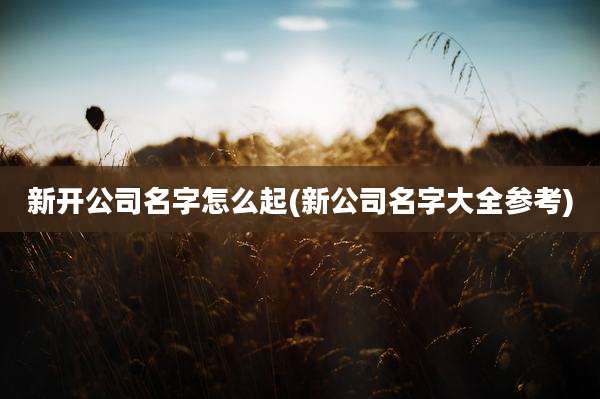 新开公司名字怎么起(新公司名字大全参考)