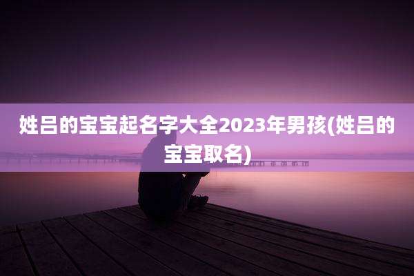 姓吕的宝宝起名字大全2023年男孩(姓吕的宝宝取名)