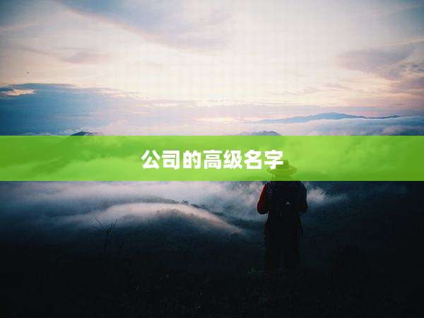 公司的高级名字