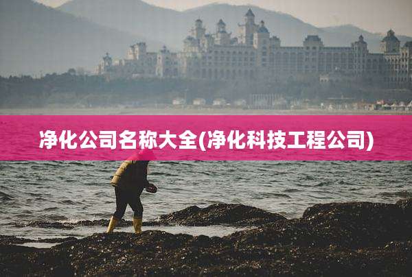 净化公司名称大全(净化科技工程公司)