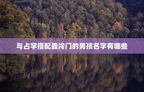 与占字搭配最冷门的男孩名字有哪些
