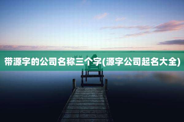 带源字的公司名称三个字(源字公司起名大全)
