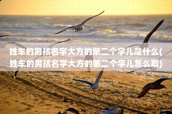 姓车的男孩名字大方的第二个字儿是什么(姓车的男孩名字大方的第二个字儿怎么取)