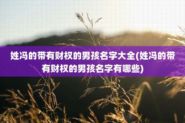姓冯的带有财权的男孩名字大全(姓冯的带有财权的男孩名字有哪些)