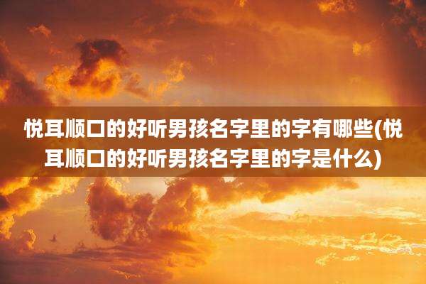 悦耳顺口的好听男孩名字里的字有哪些(悦耳顺口的好听男孩名字里的字是什么)