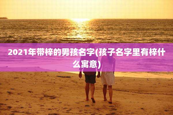2021年带梓的男孩名字(孩子名字里有梓什么寓意)