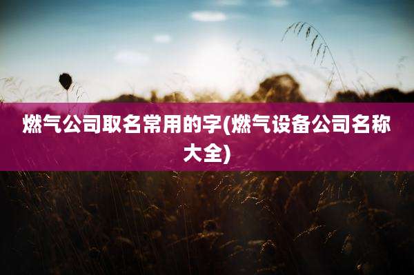 燃气公司取名常用的字(燃气设备公司名称大全)