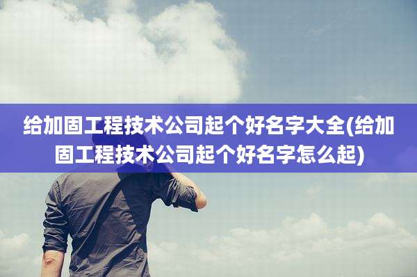 给加固工程技术公司起个好名字大全(给加固工程技术公司起个好名字怎么起)