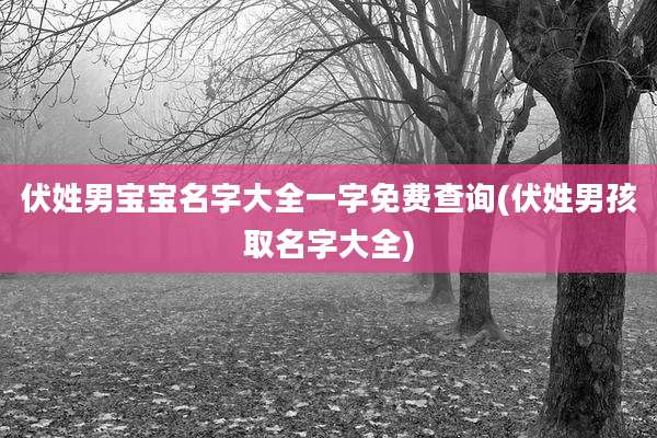 伏姓男宝宝名字大全一字免费查询(伏姓男孩取名字大全)