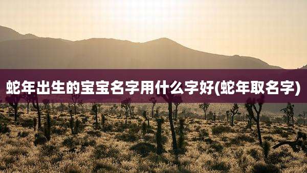 蛇年出生的宝宝名字用什么字好(蛇年取名字)