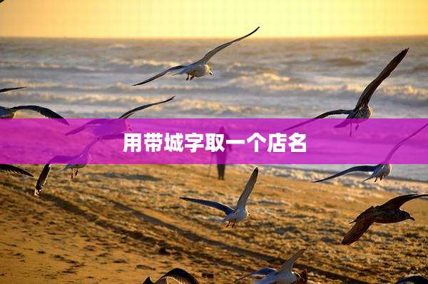 用带城字取一个店名