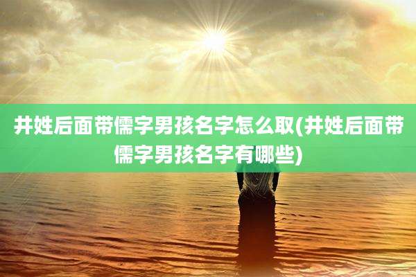 井姓后面带儒字男孩名字怎么取(井姓后面带儒字男孩名字有哪些)