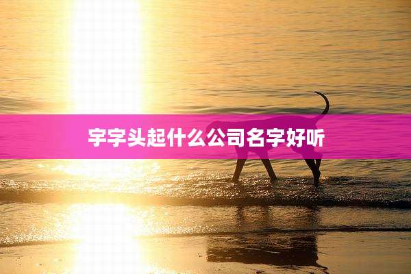 宇字头起什么公司名字好听