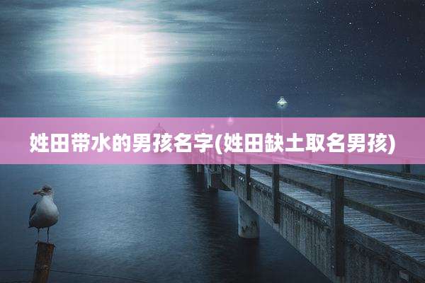 姓田带水的男孩名字(姓田缺土取名男孩)