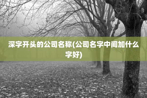 深字开头的公司名称(公司名字中间加什么字好)