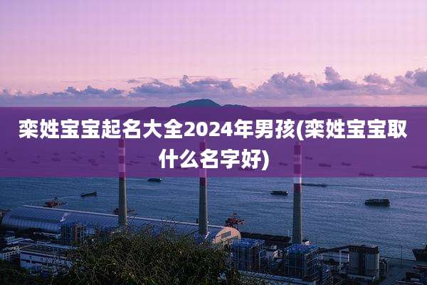 栾姓宝宝起名大全2024年男孩(栾姓宝宝取什么名字好)