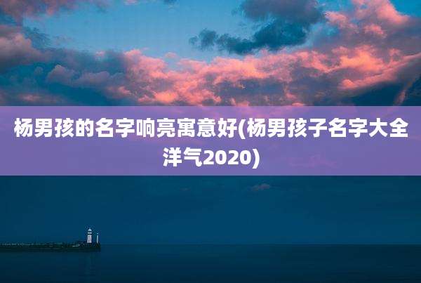 杨男孩的名字响亮寓意好(杨男孩子名字大全洋气2020)