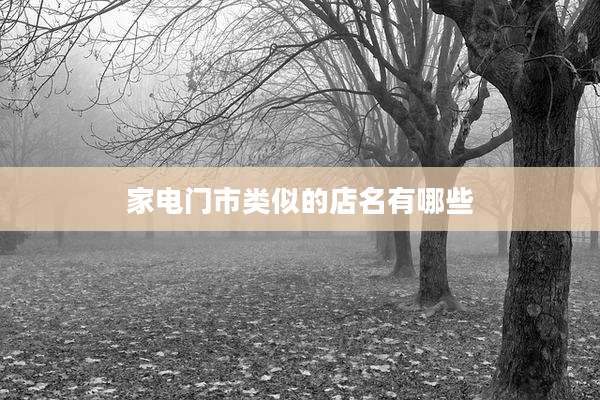 家电门市类似的店名有哪些