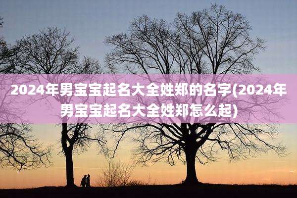 2024年男宝宝起名大全姓郑的名字(2024年男宝宝起名大全姓郑怎么起)