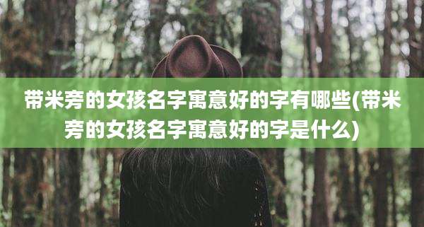 带米旁的女孩名字寓意好的字有哪些(带米旁的女孩名字寓意好的字是什么)
