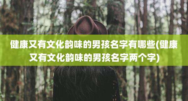 健康又有文化韵味的男孩名字有哪些(健康又有文化韵味的男孩名字两个字)