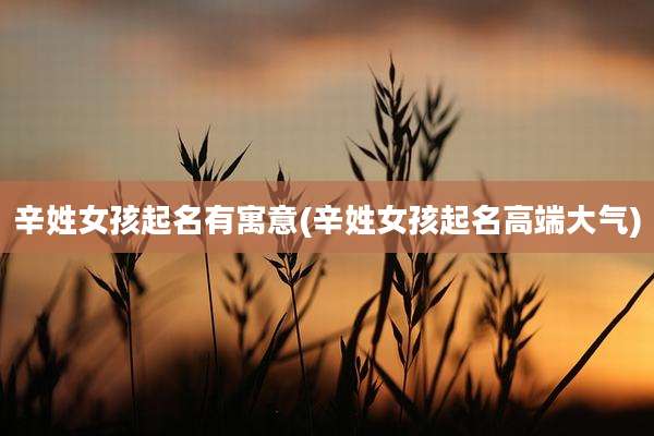 辛姓女孩起名有寓意(辛姓女孩起名高端大气)