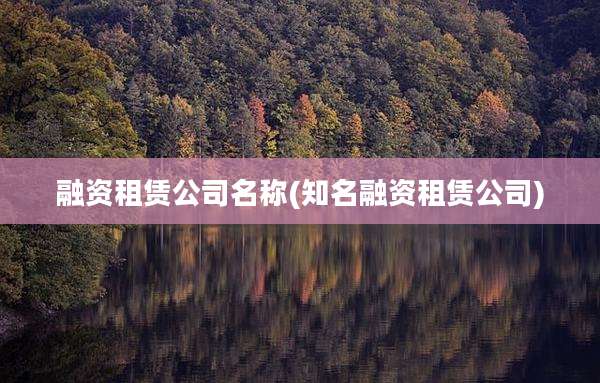 融资租赁公司名称(知名融资租赁公司)