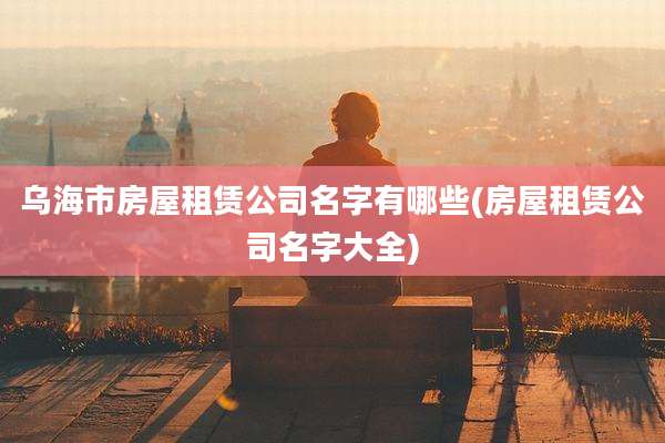 乌海市房屋租赁公司名字有哪些(房屋租赁公司名字大全)