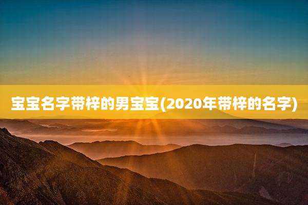 宝宝名字带梓的男宝宝(2020年带梓的名字)