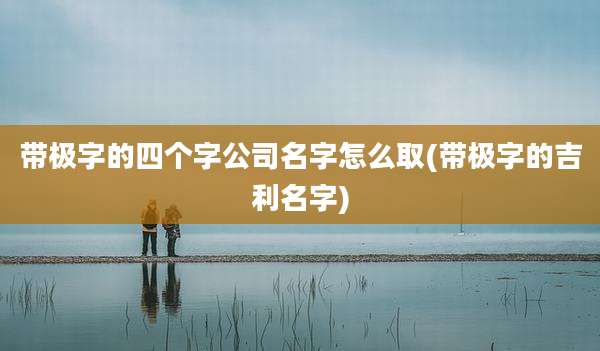 带极字的四个字公司名字怎么取(带极字的吉利名字)