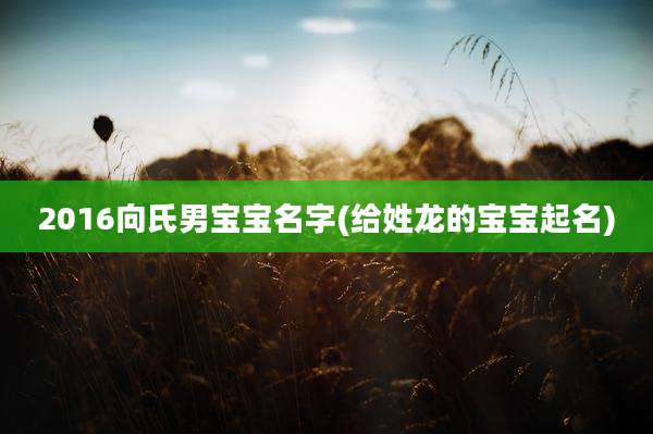 2016向氏男宝宝名字(给姓龙的宝宝起名)